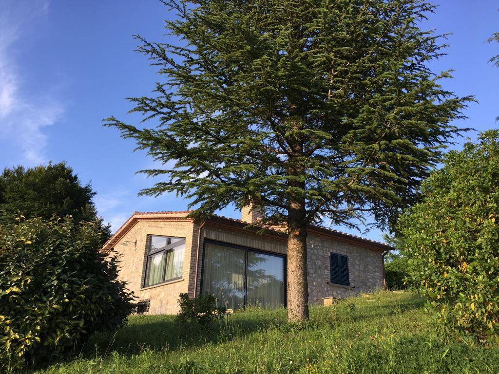 Agricola Caicucci Villa มอนโตเน ห้อง รูปภาพ