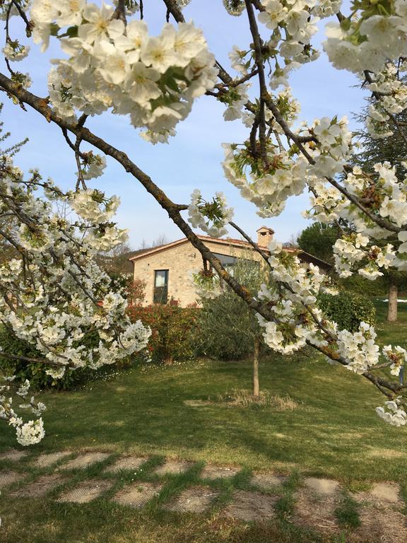 Agricola Caicucci Villa มอนโตเน ภายนอก รูปภาพ